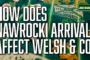 What does arrival of Nawrocki mean for Welsh, Scales, Lawal & Kobayashi?